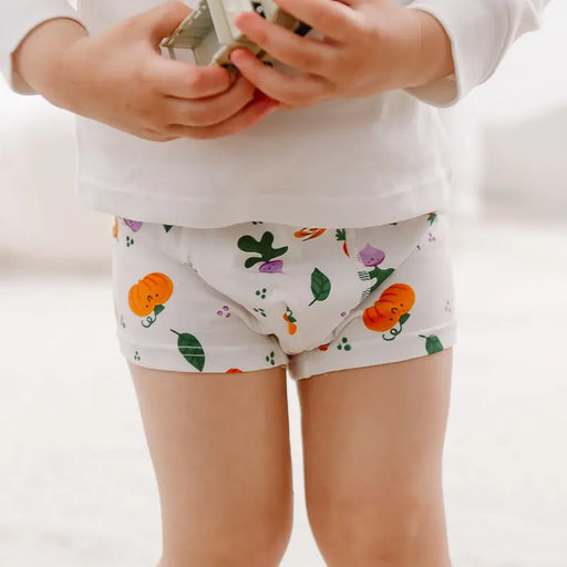 Nest Designs Boys Boxer Briefs Underwear 2PC - Harvest Time