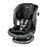 Peg Perego Primo Viaggio All in One - Licorice