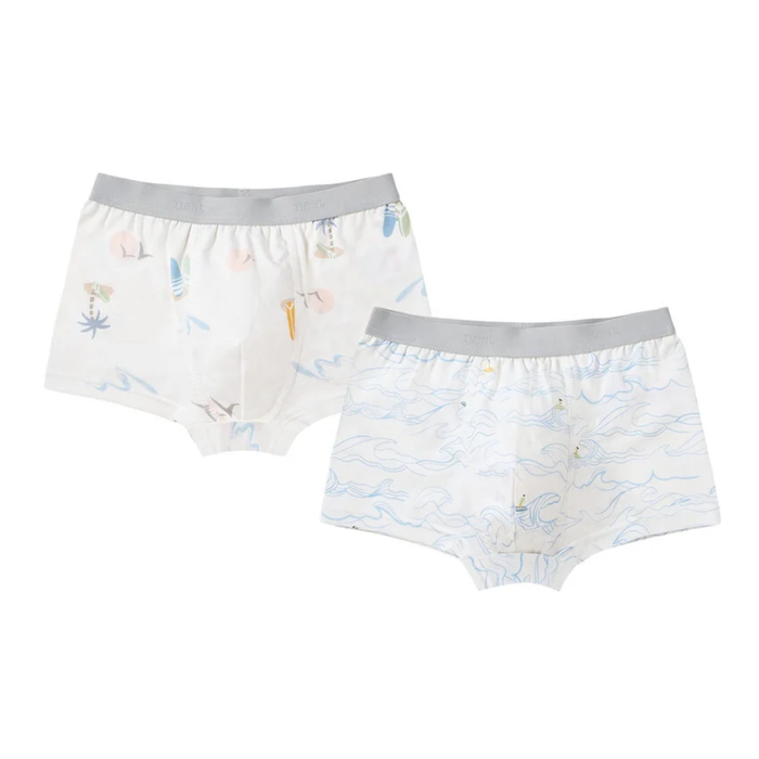 Nest Designs Boys Boxer Briefs Underwear 2PC - Surf Camp