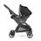 Peg Perego Primo Viaggio 4-35 Lounge on Wheels - True Black