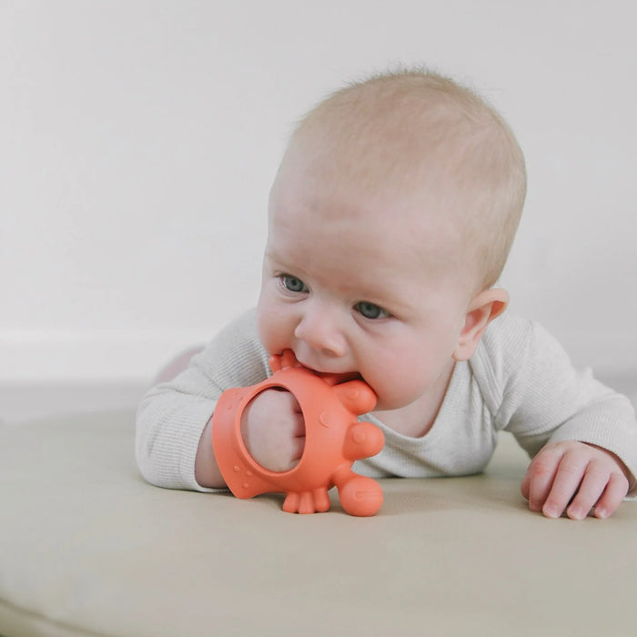 Itzy Ritzy Bitzy Grip Teether - Crab