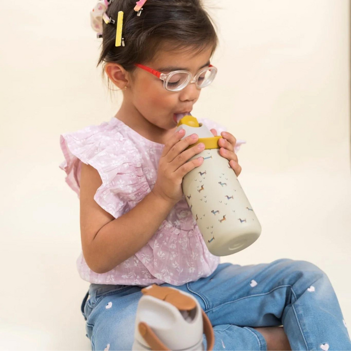 The Cotton Cloud Stainless Steel Bottle 420ml - Rainbow