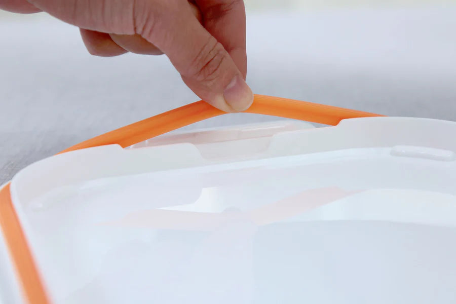 Edison Friends Dual Non-Slip Lunch Box - Owl