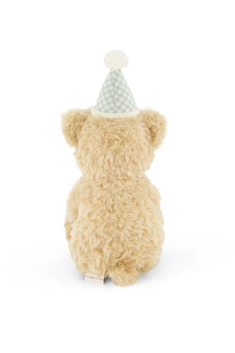 Snuggle Bunnies Birthday Arthur - Gingham