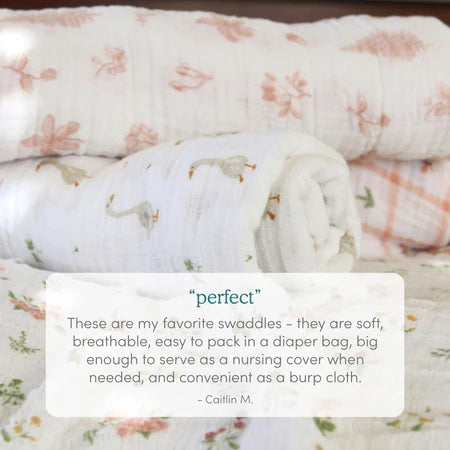 Aden+Anais Kite Parade 2-pack Swaddles