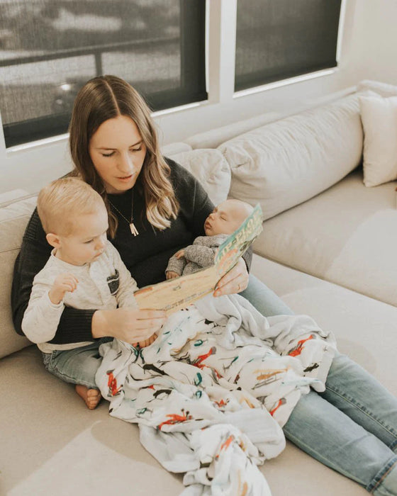 Little Unicorn Deluxe Muslin Quilt - Air Show