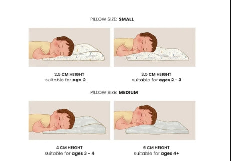 Nest Designs Foam Pilliow w/ Pillow Case - Beach Daze Small