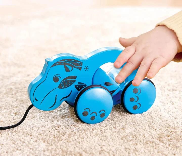 Hape William Pull-Along Toy E0535