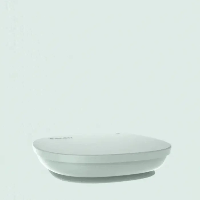 Bbox Silicone Plate+Lid - Sage