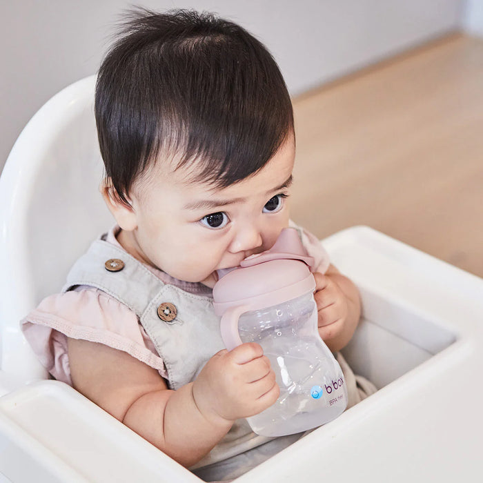 Bbox Spout Cup - Blush