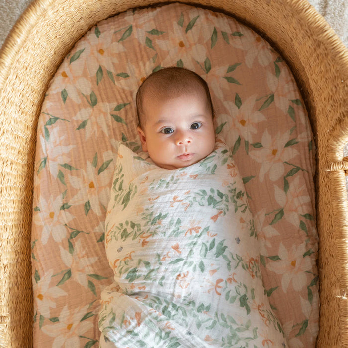 Aden + Anais Muslin Swaddle 2pc - Butterfly Garden
