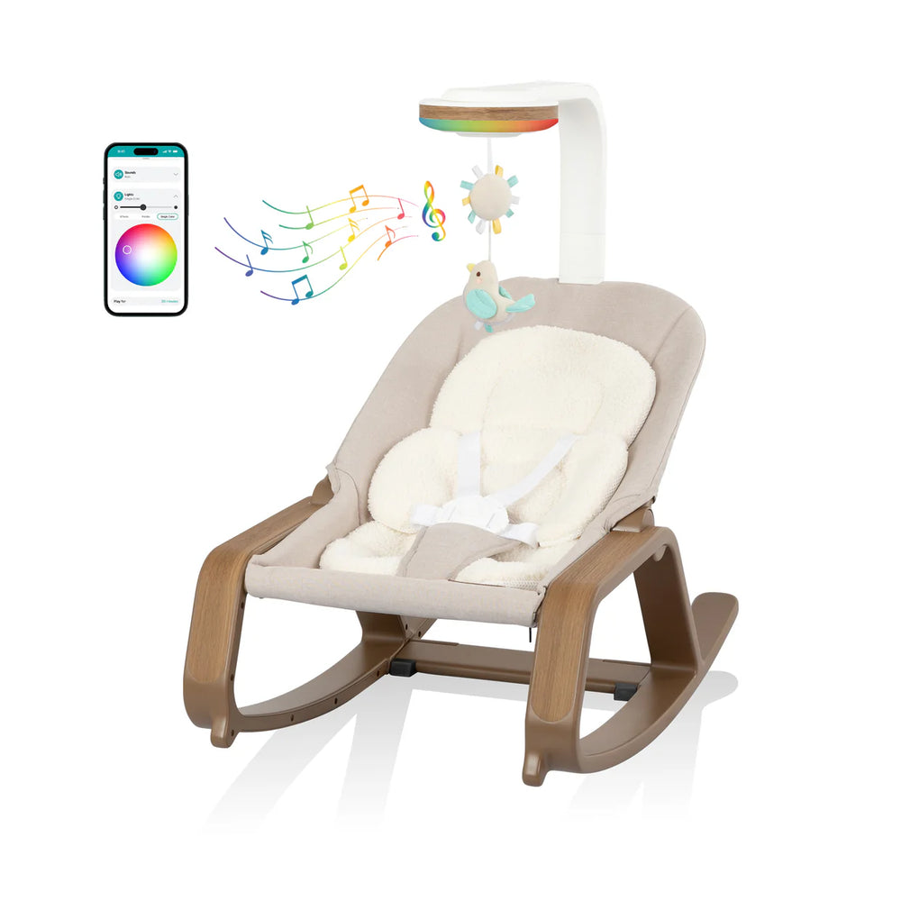 Evenflo Lyra 2-in-1 Infant to Toddler Rocker