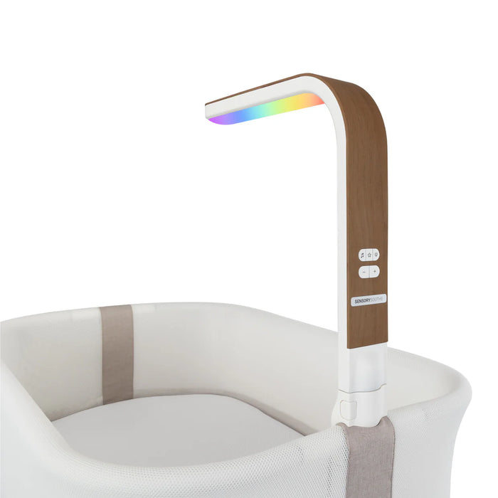 Evenflo Cora 3-Level Adjustable Bassinet