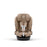 Cybex Callisto G 360 - Almond Beige
