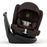 Cybex Callisto G 360 - Chocolate Brown 526001855