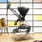 Cybex Mios3 - Matte Black Frame w/ Sepia Black Seat (ONE BOX)
