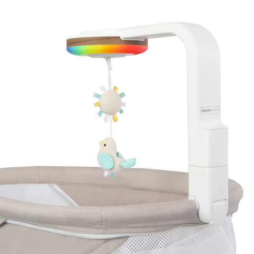 Evenflo Elara 2-in-1 Smart Motion Swing & Soothing Nest