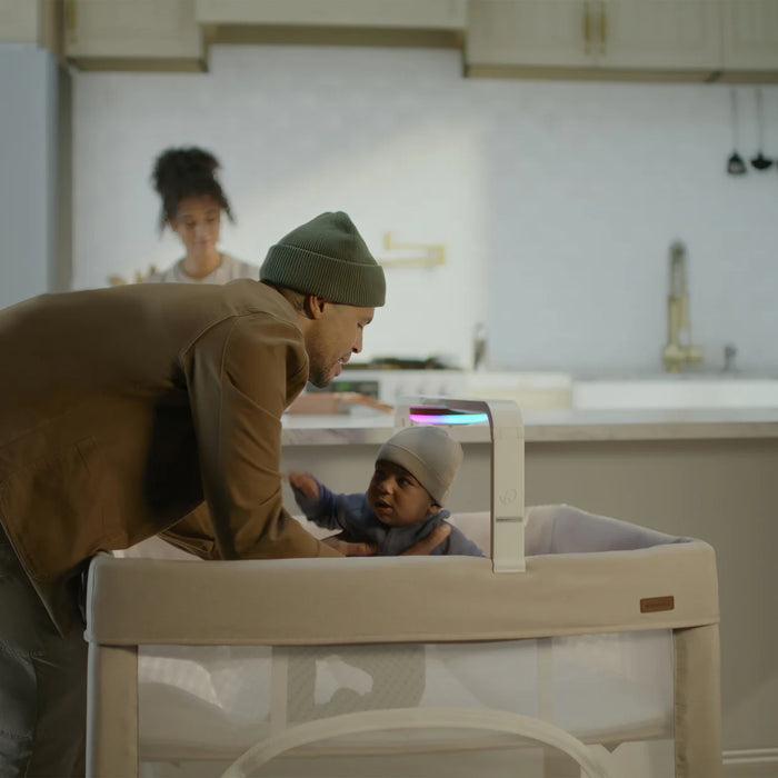 Evenflo Eris One-Hand Playard with Bassinet