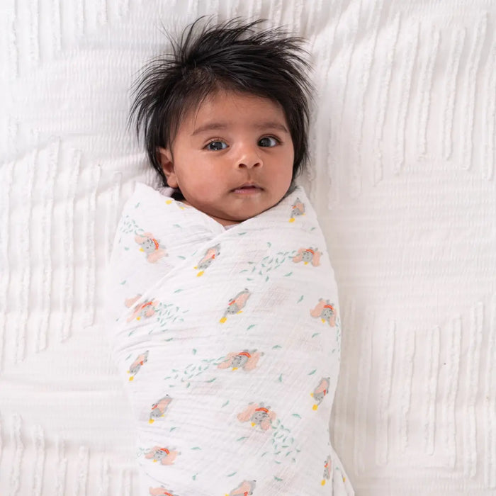 Aden + Anasis Muslin Swaddle Blankets 2pc - Disney + Friends