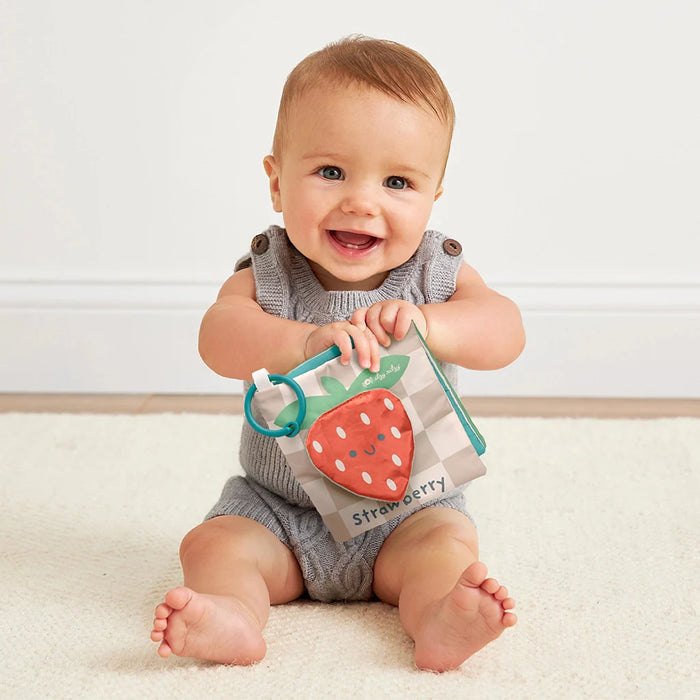 Itzy Ritzy Gift Set Bunny Soft Book And Lovey