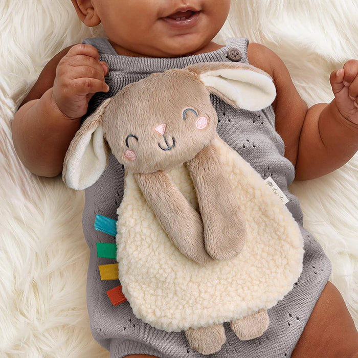 Itzy Ritzy Gift Set Bunny Soft Book And Lovey