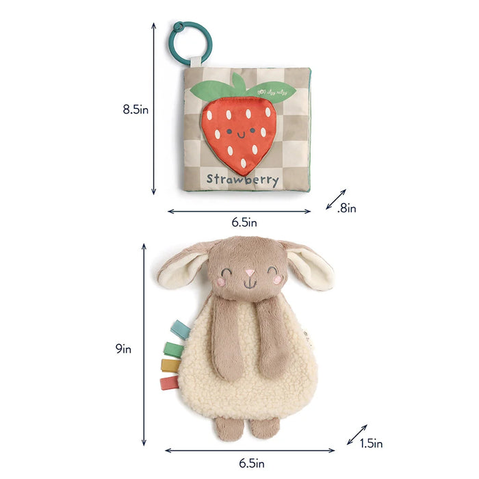 Itzy Ritzy Gift Set Bunny Soft Book And Lovey