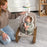Evenflo Lyra 2-in-1 Infant to Toddler Rocker