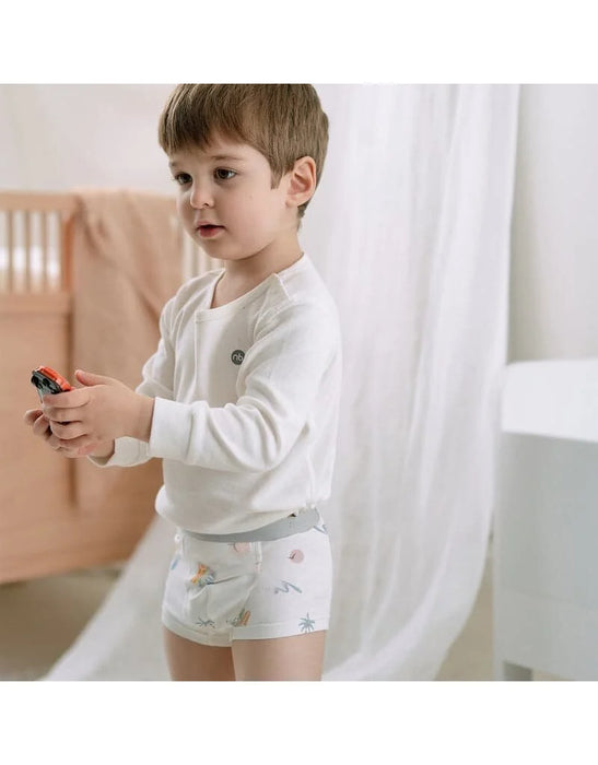 Nest Designs Boys Boxer Briefs Underwear 2PC - Surf Camp