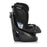 Evenflo Revolve360 SLIM 2-in-1 Car Seat - Canton