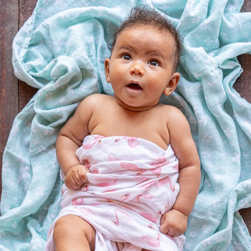 Aden + Anasis Muslin Swaddle Blanket 4pc - Briar Rose