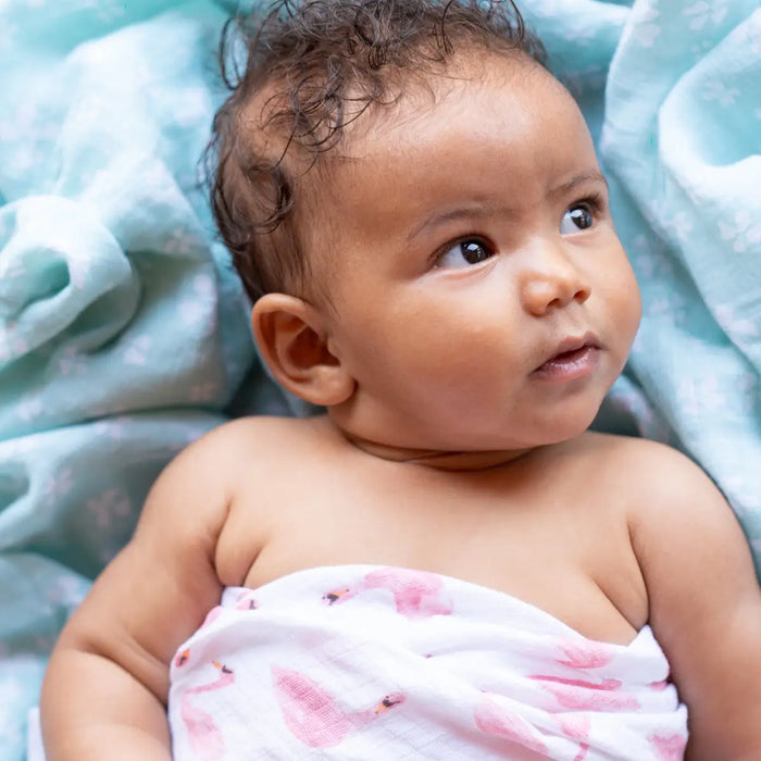 Aden + Anasis Muslin Swaddle Blanket 4pc - Briar Rose