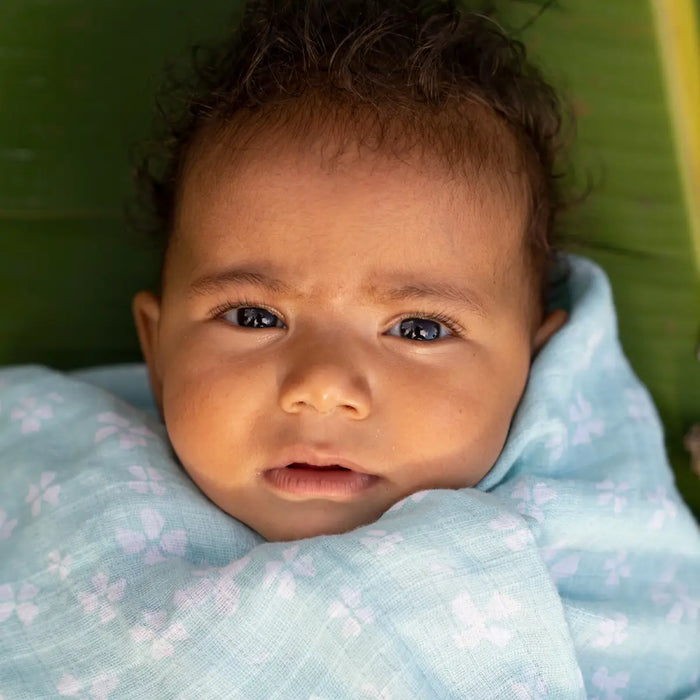 Aden + Anasis Muslin Swaddle Blanket 4pc - Briar Rose