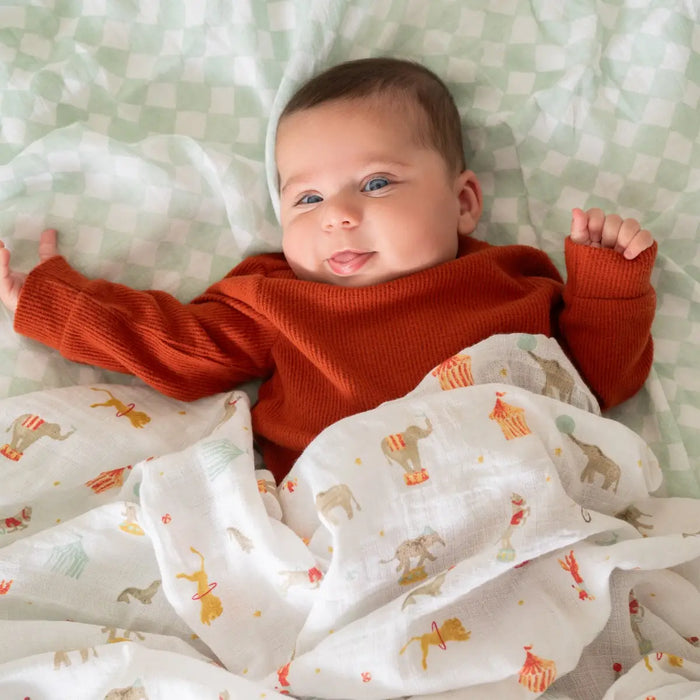 Aden + Anasis Muslin Swaddle Blanket 4pc - Elephant Circus