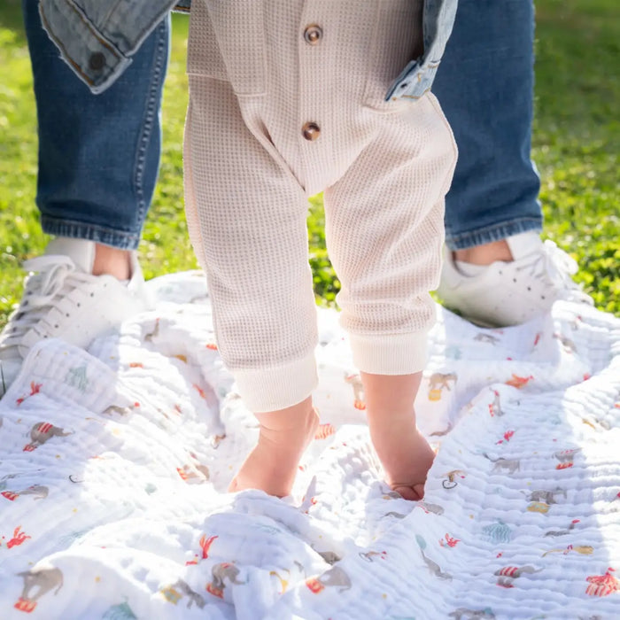 Aden + Anasis Muslin Blanket - Elephant Circus