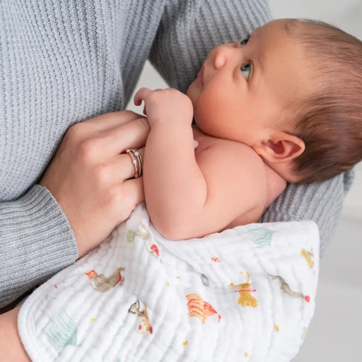 Aden + Anasis Muslin Washcloth Set 3pc - Elephant Circus