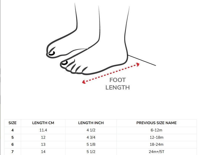 Stonz Cruiser - Dune