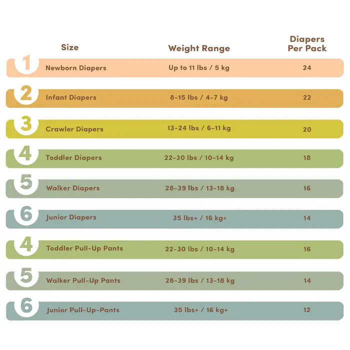 Terra Toddler Pull-Up Pants Size6 Junior (35lbs+/16kg ) - 12PC