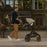 Evenflo Transformer Stroller to Wagon Travel System - Travertine