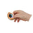 Janod Magnetibook Tropical Fish