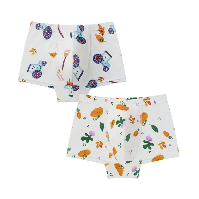 Nest Designs Boys Boxer Briefs Underwear 2PC - Harvest Time