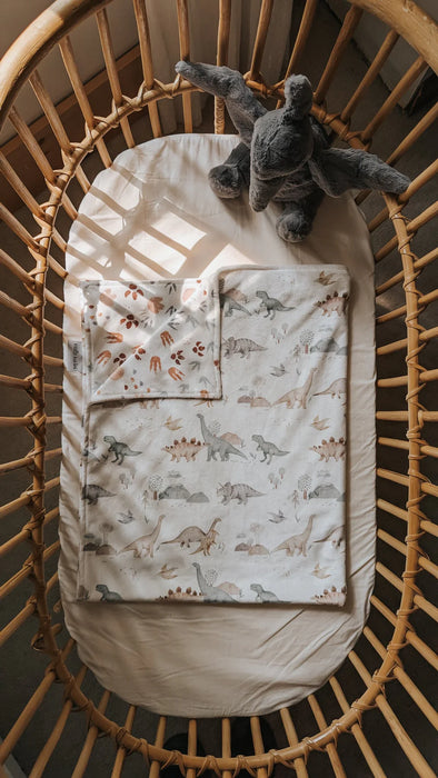 Veille My Little Blanket Mini - Jurassic
