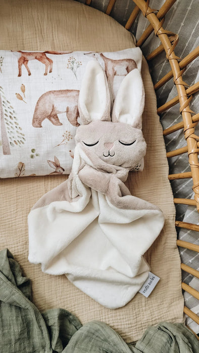 Veille Children's Pillowcase - Woodland Friends + Maovic Mini Buckwheat Hull Pillow