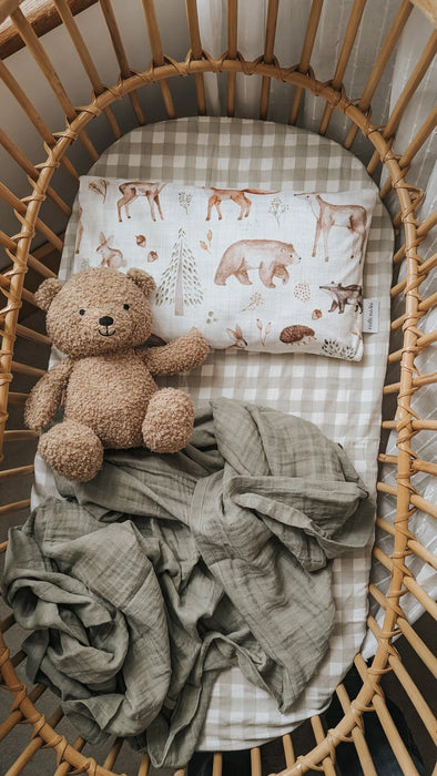 Veille Children's Pillowcase - Woodland Friends + Maovic Mini Buckwheat Hull Pillow