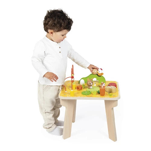 Janod Farm Activity Table