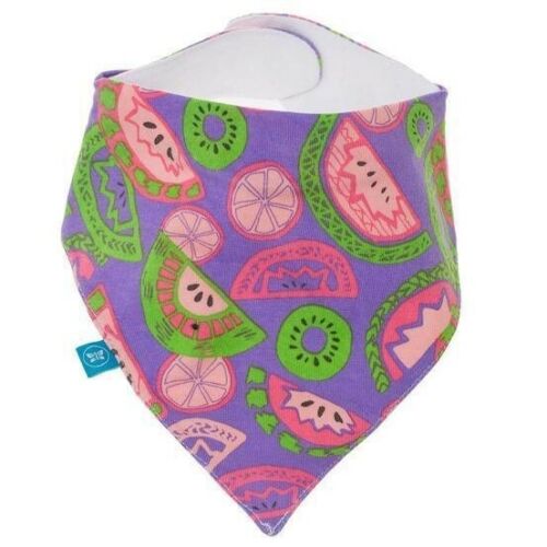 The Honest Company Magnetic Bandana Bibs - Watermelons