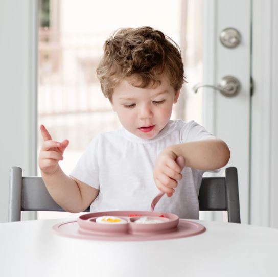 Ezpz Mini Feeding Set - Blush