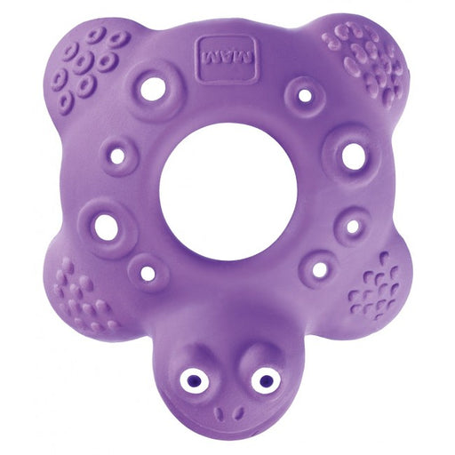 Mam Friend Teether Bob The Turtle