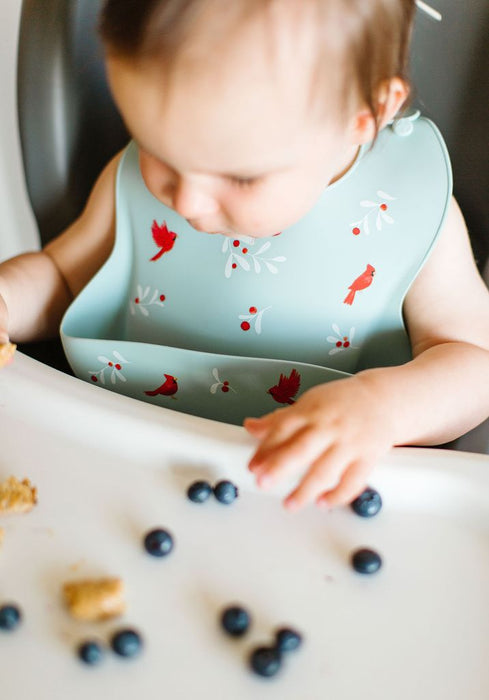 Loulou Lollipop Silicone Bib - Cardinal