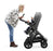 Stokke Trailz Black Chassis with Black Handle - Black Melange (OPEN BOX)
