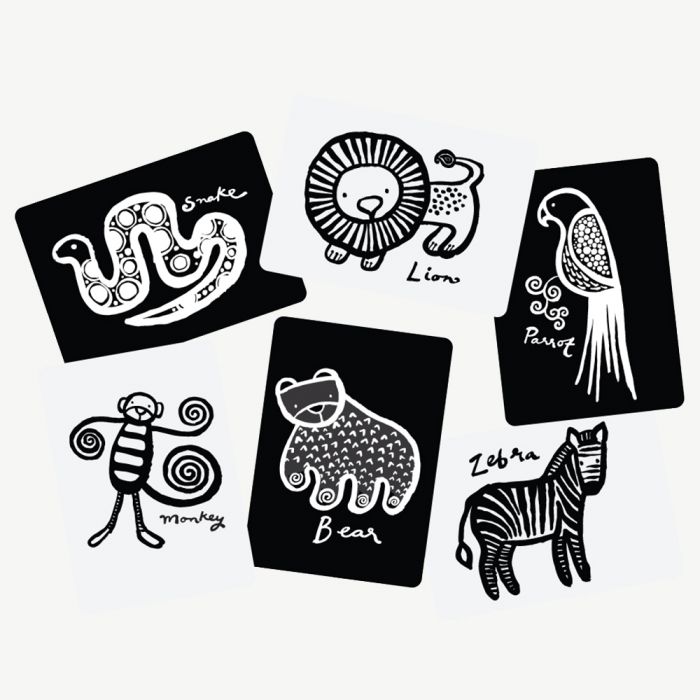 Wee Gallery Art Cards for Baby Jungle WG105